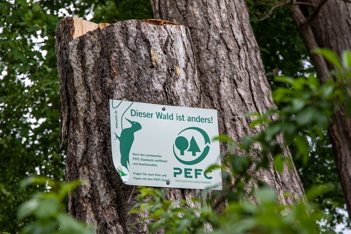 Baum mit PEFC Siegel