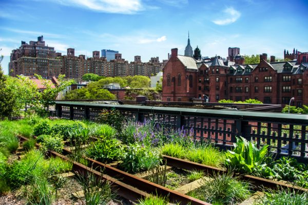 Urban Gardening: Die Stadt als grüne Oase für Mensch und Umwelt