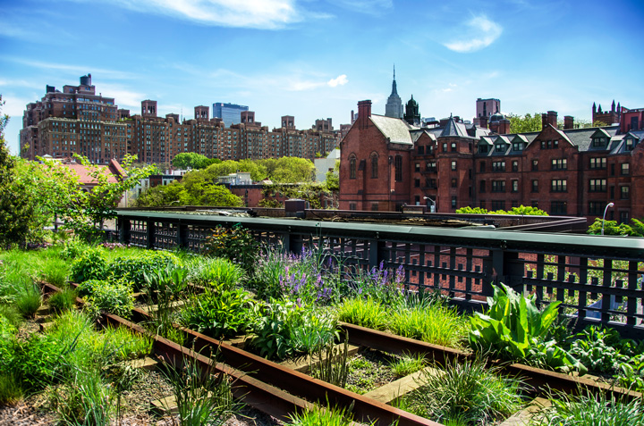 Ein urbanes Stadtpanorama voller grüner Pflanzen